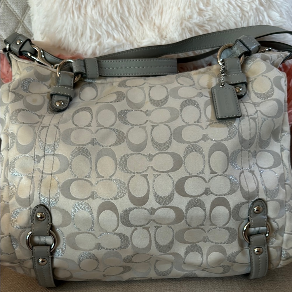 Coach Gray Signature Tote Bag